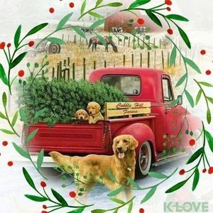 Meet your Posher, Jacque